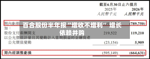 百合股份半年报“增收不增利” 增长依赖并购-第3张图片