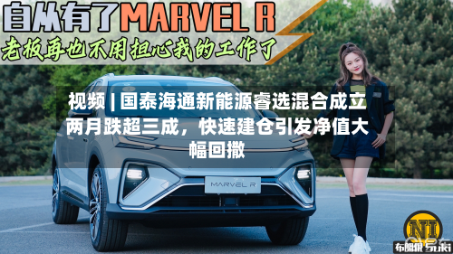 视频 | 国泰海通新能源睿选混合成立两月跌超三成，快速建仓引发净值大幅回撒-第2张图片