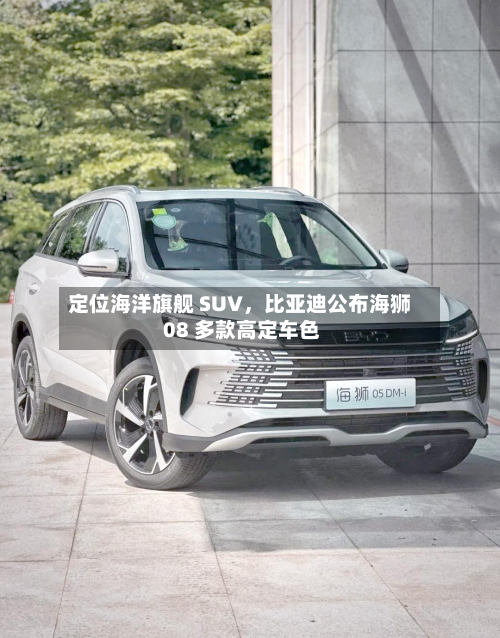 定位海洋旗舰 SUV,比亚迪公布海狮 08 多款高定车色-第2张图片