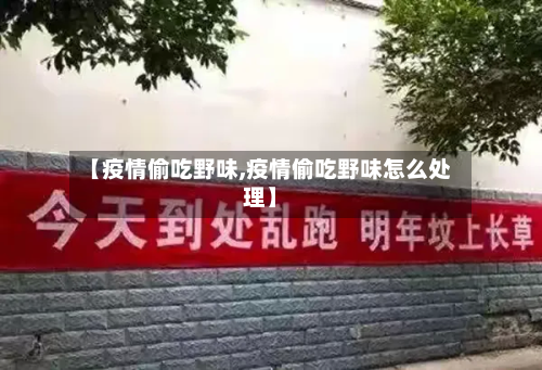 【疫情偷吃野味,疫情偷吃野味怎么处理】-第2张图片
