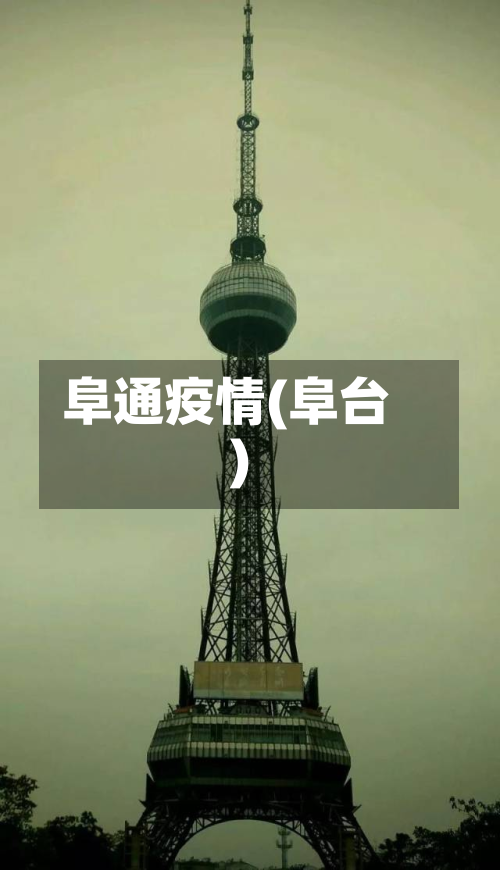 阜通疫情(阜台)-第3张图片