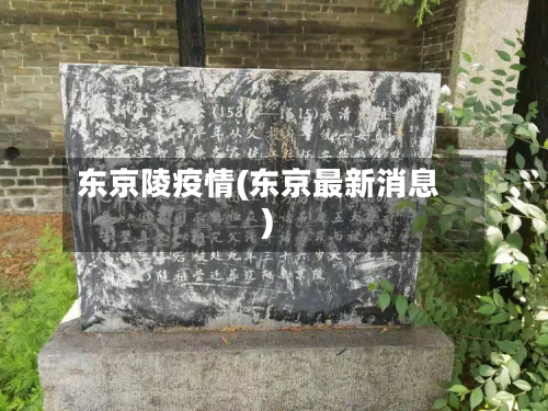 东京陵疫情(东京最新消息)-第3张图片