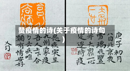 赞疫情的诗(关于疫情的诗句)-第3张图片