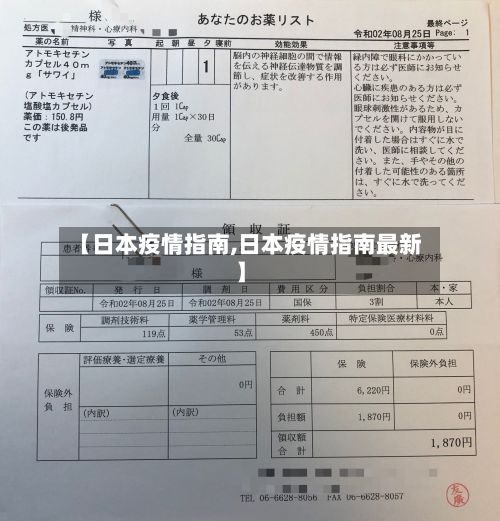 【日本疫情指南,日本疫情指南最新】