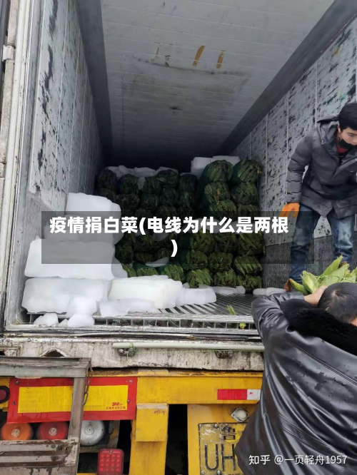 疫情捐白菜(电线为什么是两根)-第3张图片