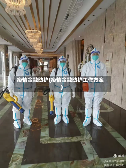 疫情金融防护(疫情金融防护工作方案)-第2张图片