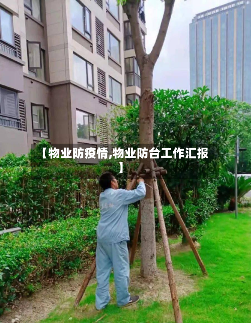 【物业防疫情,物业防台工作汇报】