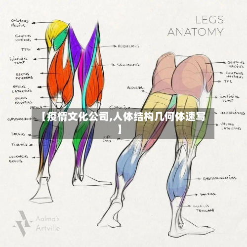 【疫情文化公司,人体结构几何体速写】-第2张图片