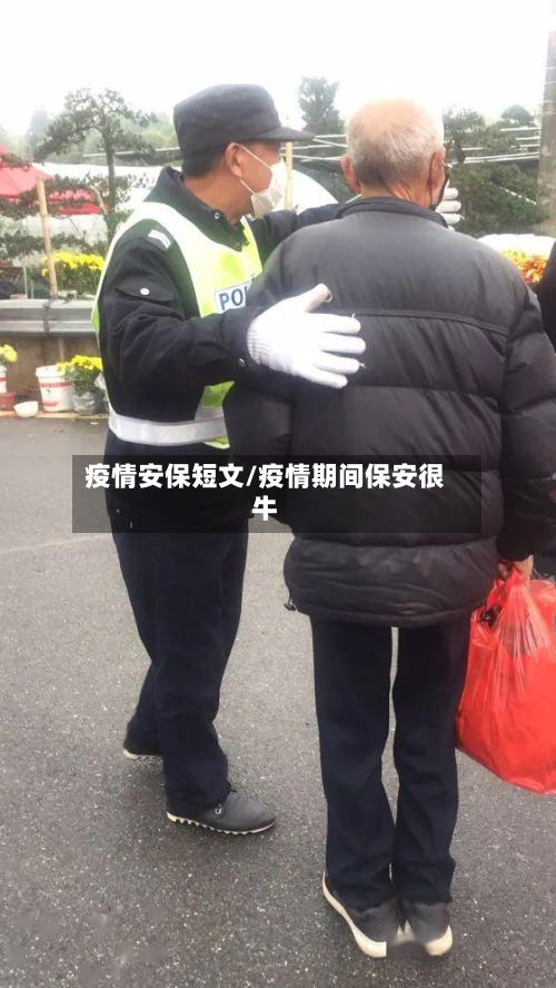 疫情安保短文/疫情期间保安很牛