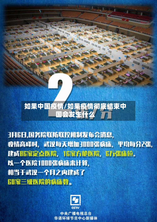 如果中国疫情/如果疫情彻底结束中国会发生什么-第3张图片