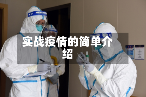 实战疫情的简单介绍