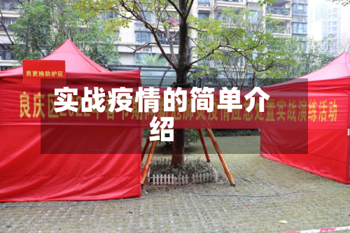 实战疫情的简单介绍-第2张图片