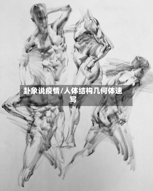 卦象说疫情/人体结构几何体速写-第3张图片
