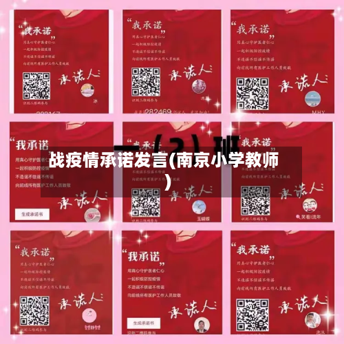 战疫情承诺发言(南京小学教师)-第2张图片