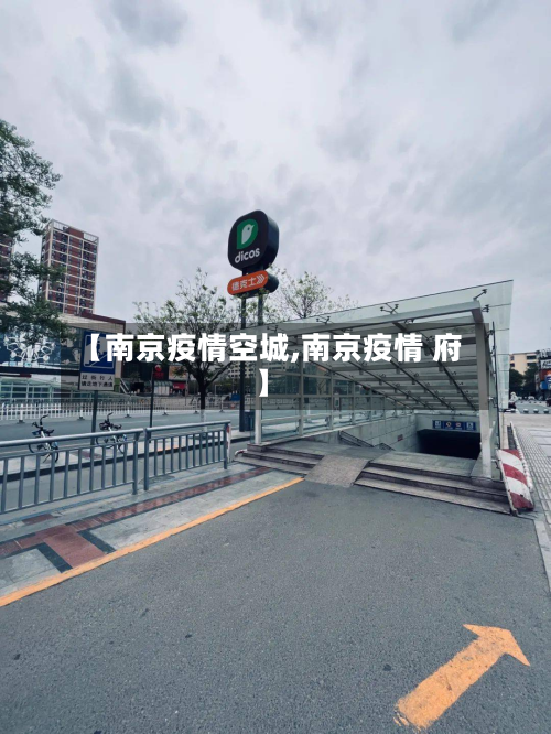 【南京疫情空城,南京疫情 府】-第2张图片