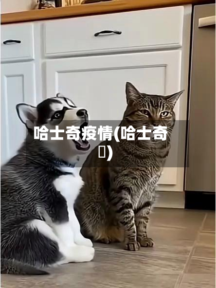 哈士奇疫情(哈士奇貓)
