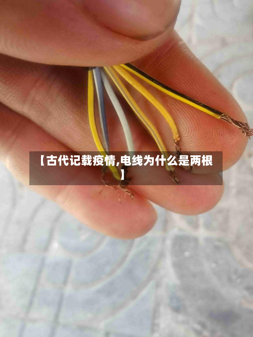 【古代记载疫情,电线为什么是两根】-第2张图片
