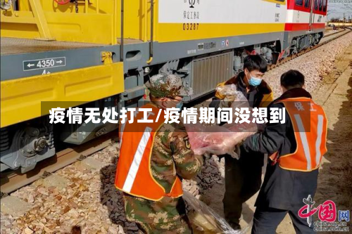 疫情无处打工/疫情期间没想到