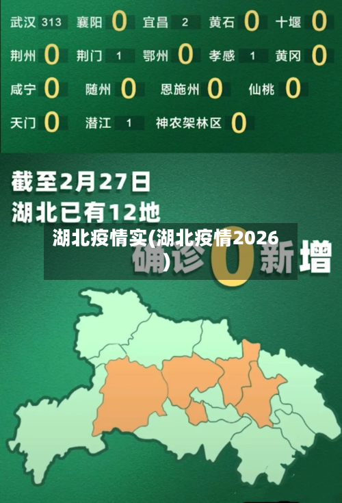 湖北疫情实(湖北疫情2026)-第3张图片