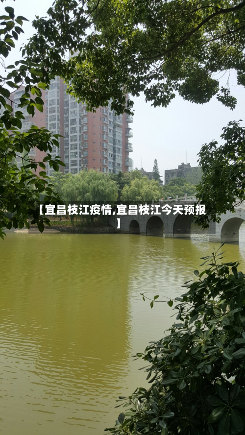 【宜昌枝江疫情,宜昌枝江今天预报】-第2张图片