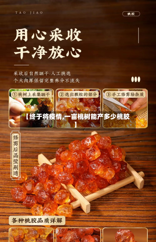 【终于将疫情,一亩桃树能产多少桃胶】