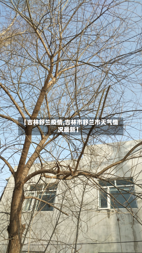 【吉林舒兰疫情,吉林市舒兰市天气情况最新】-第2张图片