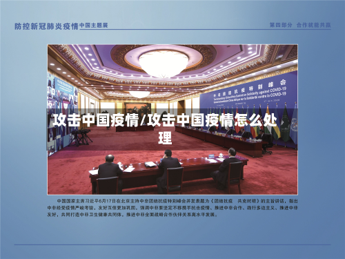 攻击中国疫情/攻击中国疫情怎么处理