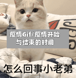 疫情Gif/疫情开始与结束的时间