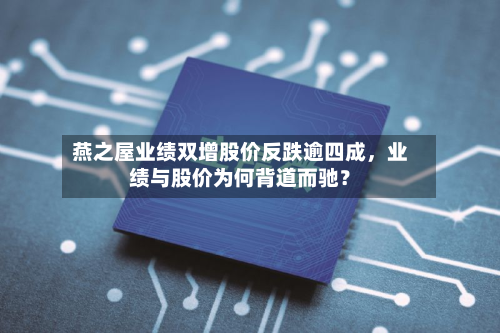 燕之屋业绩双增股价反跌逾四成,业绩与股价为何背道而驰?-第2张图片