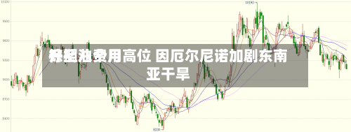 棕榈油费用升至八个月高位 因厄尔尼诺加剧东南亚干旱-第2张图片
